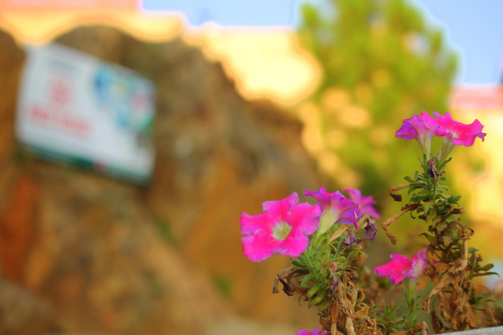 Red Rose Hotel & Resort Mansehra Εξωτερικό φωτογραφία