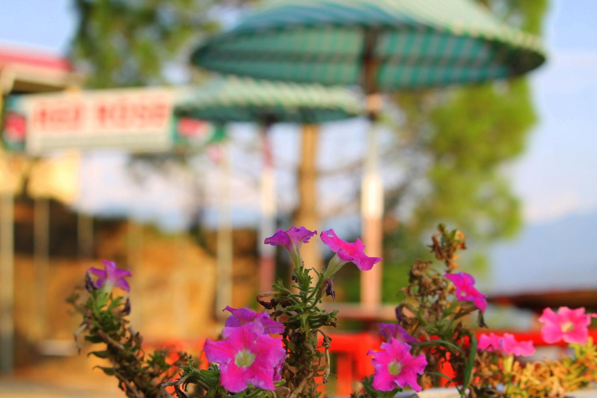 Red Rose Hotel & Resort Mansehra Εξωτερικό φωτογραφία